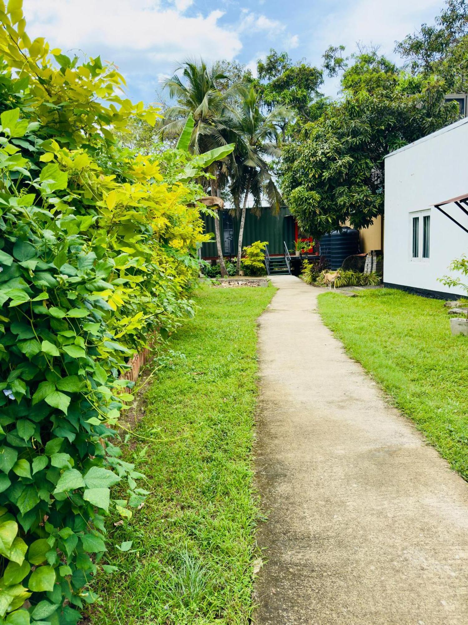 Traveler'S Haven Hostel At Colombo Intl Airport Катунаяка Экстерьер фото